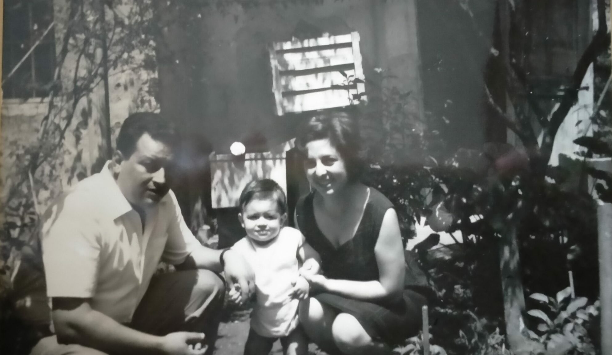 le radici di papà