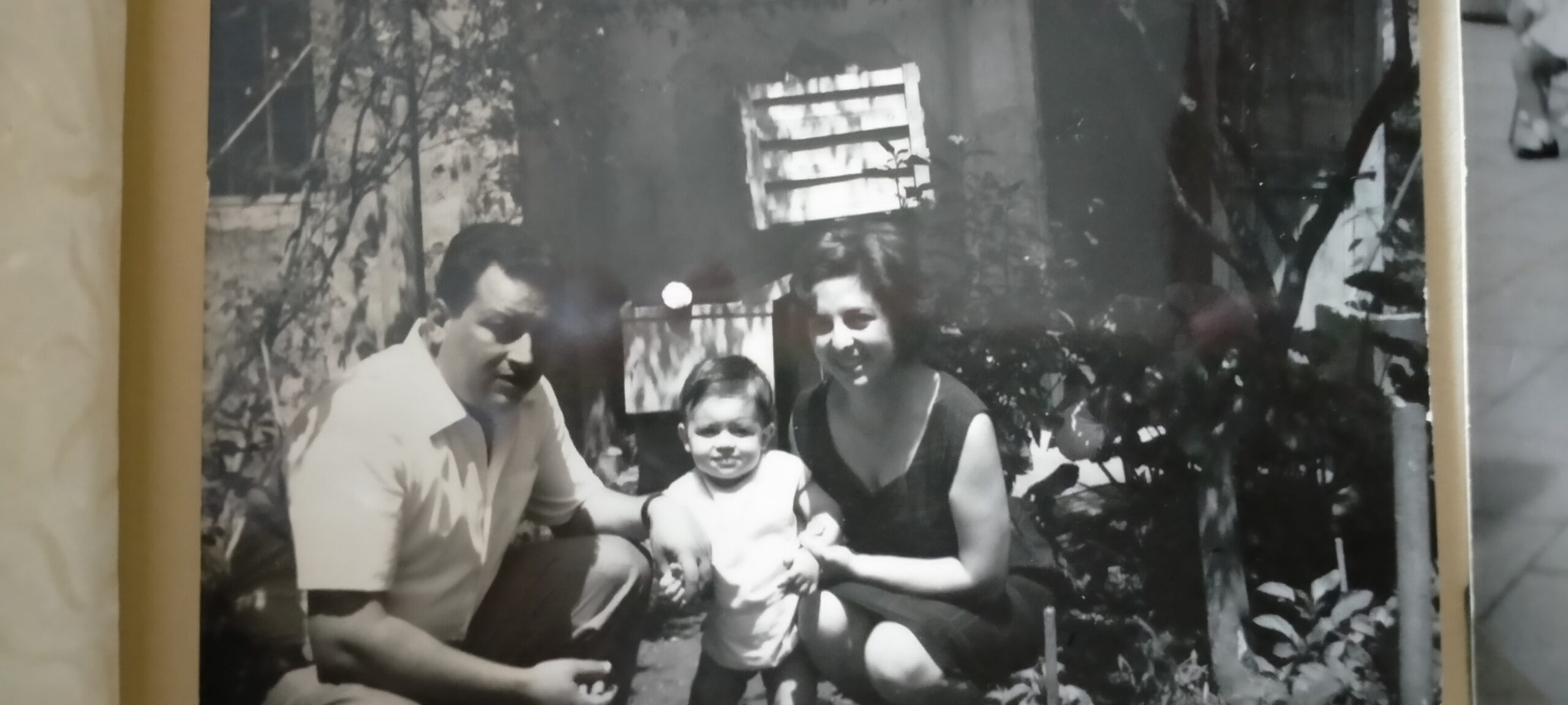 le radici di papà